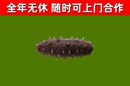 马鞍山市烟酒回收干海参.jpg